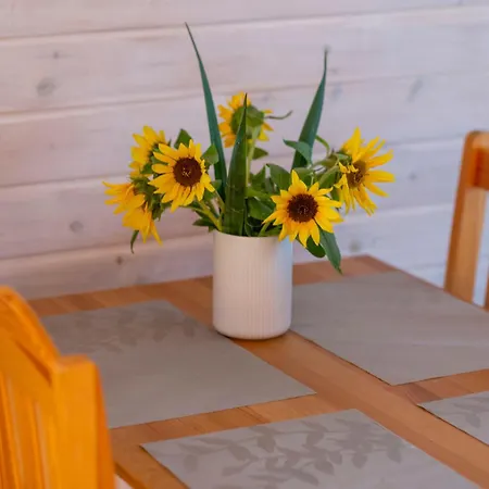 Дом отдыха Sloneczna Przystan