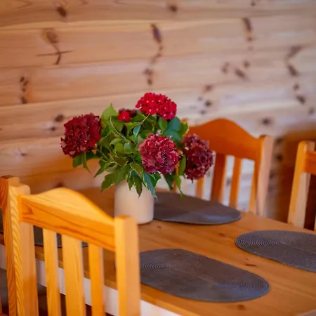 Дом отдыха Sloneczna Przystan Сашино