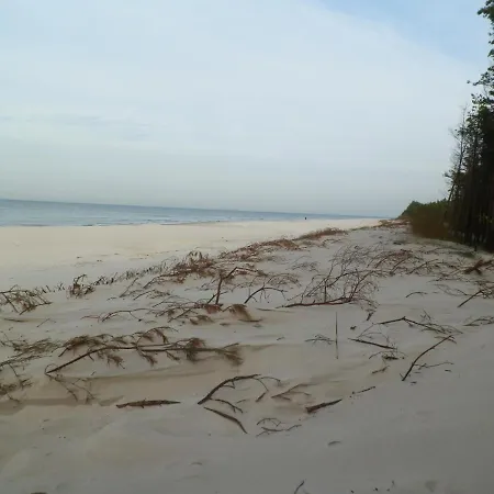 Sloneczna Przystan 別荘 サシノ