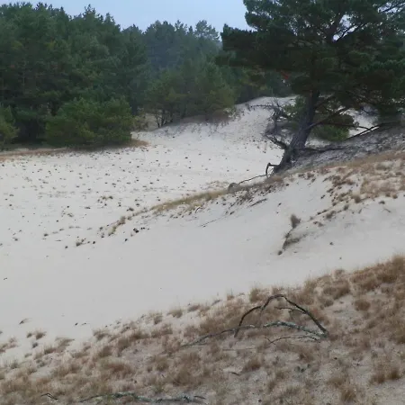 別荘 Sloneczna Przystan サシノ