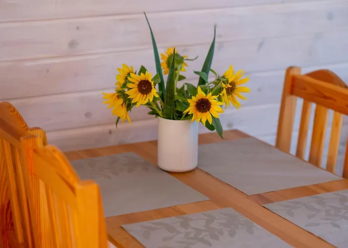 Дом отдыха Sloneczna Przystan